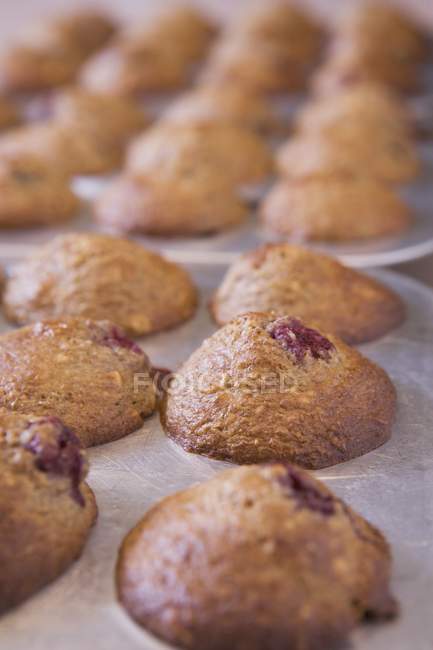 Frisch gebackene Muffins in Pfannen, Nahaufnahme — Stockfoto