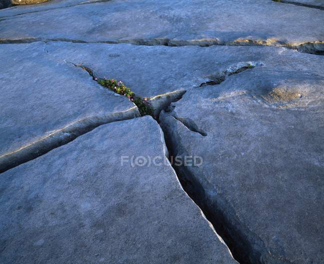 Fechar de uma rocha rachada — Fotografia de Stock
