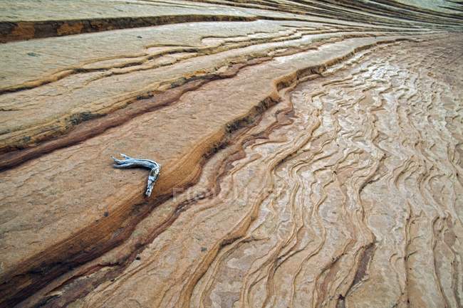 Sandstone Striations, Parque Nacional de Zion — Fotografia de Stock