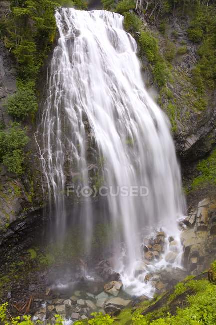 Parco nazionale del Monte Rainier — Foto stock