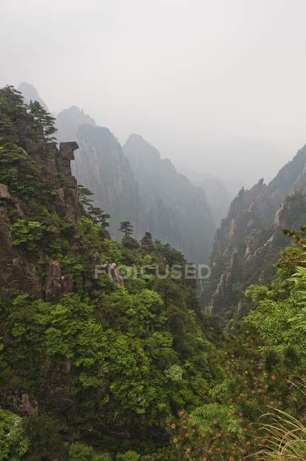 Gorge On Huang Shan — Stock Photo