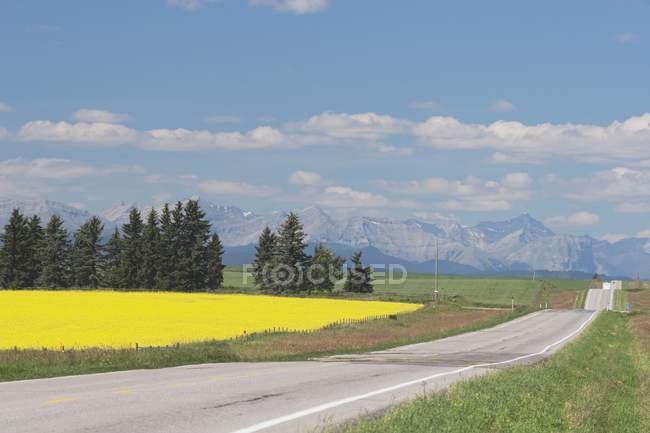 Route routière avec champ — Photo de stock