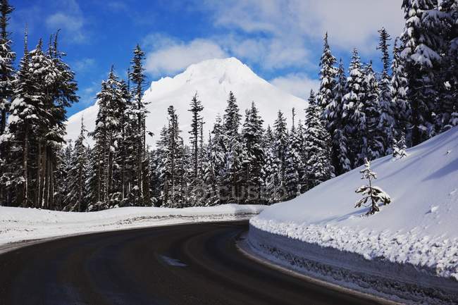 Straße und Schnee auf der Motorhaube — Stockfoto