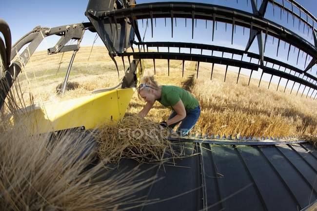Woman Works On Combine — Stock Photo