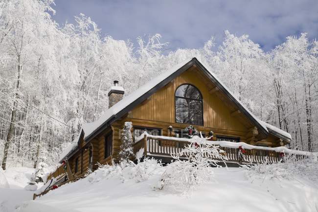 Casa de registro en el invierno - foto de stock