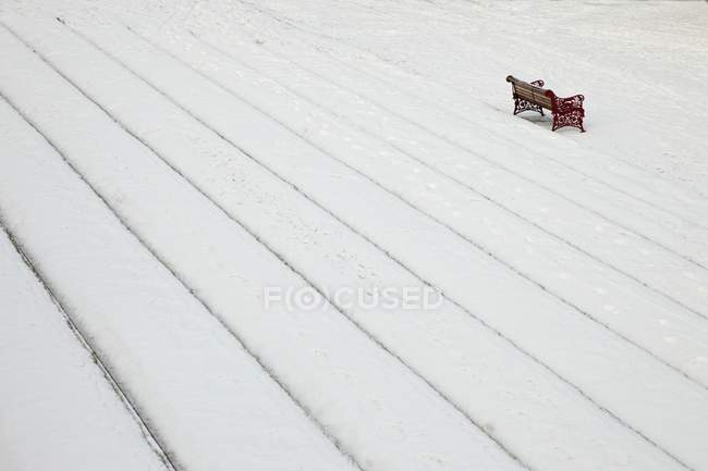 Pasos cubiertos de nieve y un banco del parque en invierno - foto de stock
