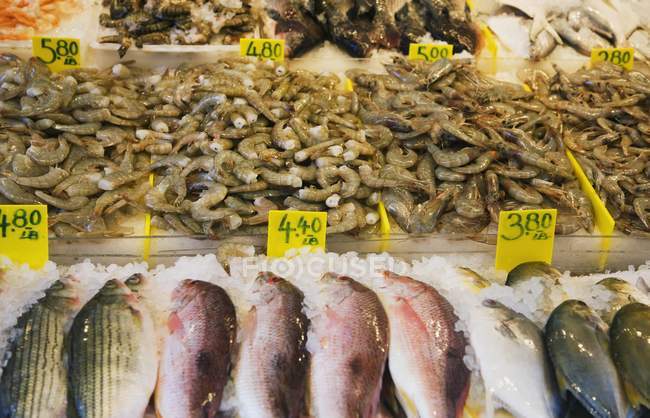 Fruits de mer au marché de rue — Photo de stock