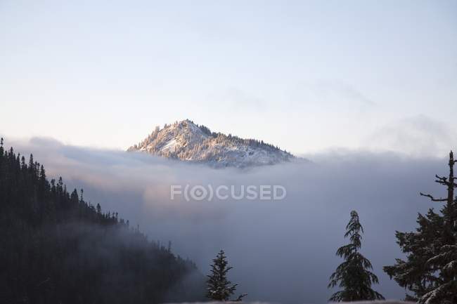 Pico cubierto de nieve de montaña - foto de stock