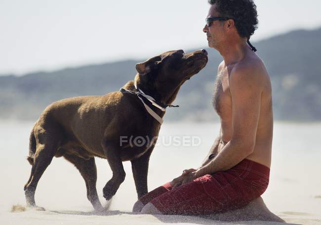 Сидящий человек и собака — стоковое фото