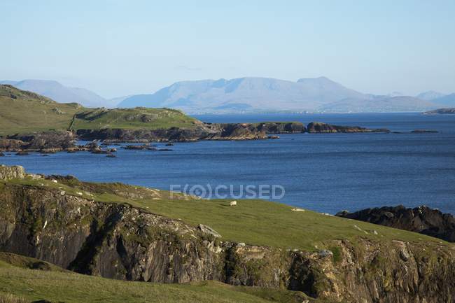 Coast with green grass — Stock Photo