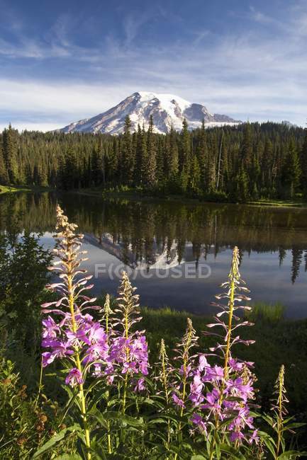 Reflejo del monte en el lago - foto de stock
