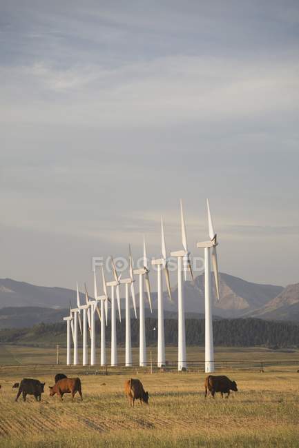 Ветрогенераторы в ряд — стоковое фото