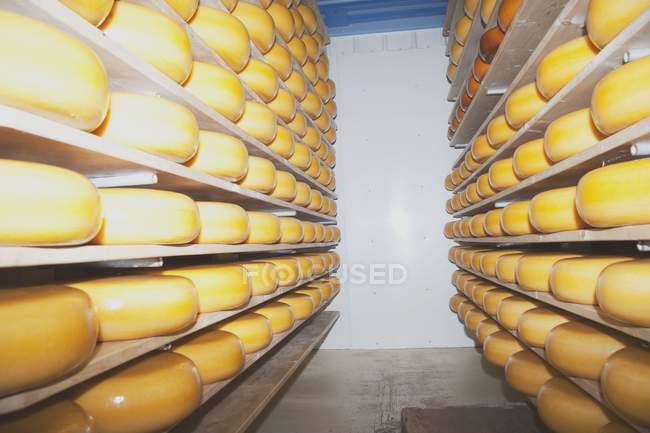 Fábrica de queso, Alberta, Canadá - foto de stock
