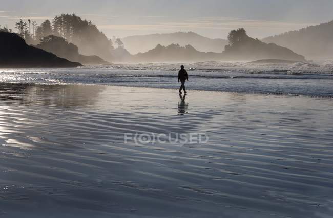 Человек, идущий вдоль пляжа — стоковое фото
