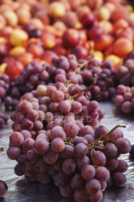 Manojos de uvas rojas con nectarinas - foto de stock