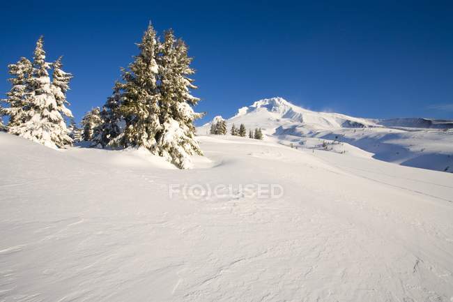 Snow Covered Mountain — Stock Photo