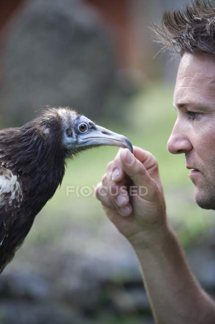Side view portrait of Man And Egyptian Vulture against blurred background — Stock Photo