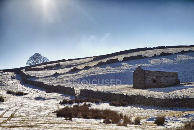 Снежное поле с маленьким домом — стоковое фото