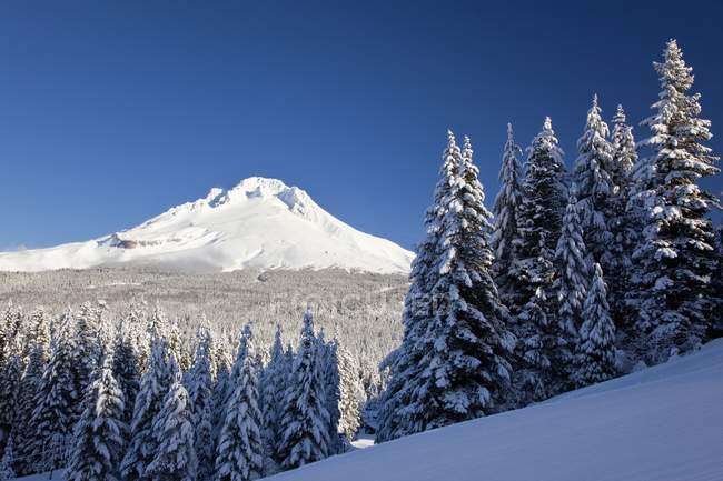 Winter Snow Over The Cascade Range — Stock Photo