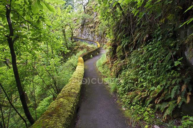 Région pittoresque nationale des Gorges — Photo de stock