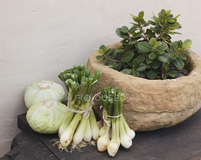 Onions, Cabbages And A Plant — Stock Photo