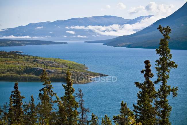 Lac Tagish et île Bove — Photo de stock