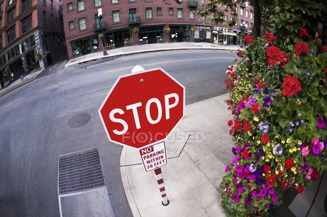 Stoppschild auf der Straße — Stockfoto
