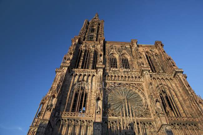 Angle bas d'une cathédrale — Photo de stock