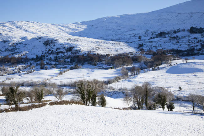 Snow-Covered Field — Stock Photo