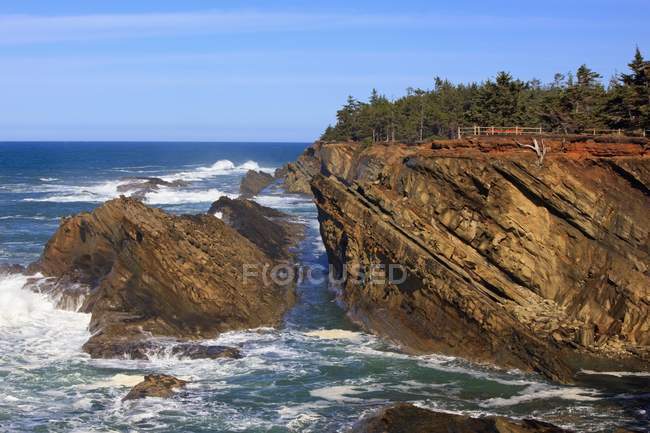 Formazioni rocciose a Shore Acres State Park — Foto stock