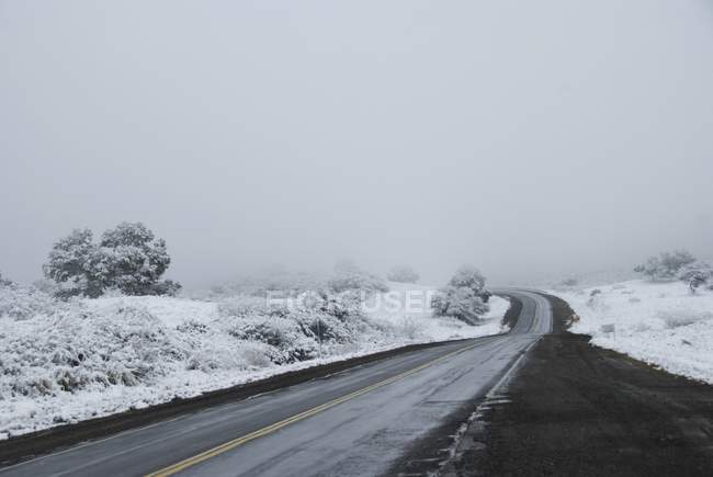 Strada in inverno con nebbia fuori Tucuman — Foto stock