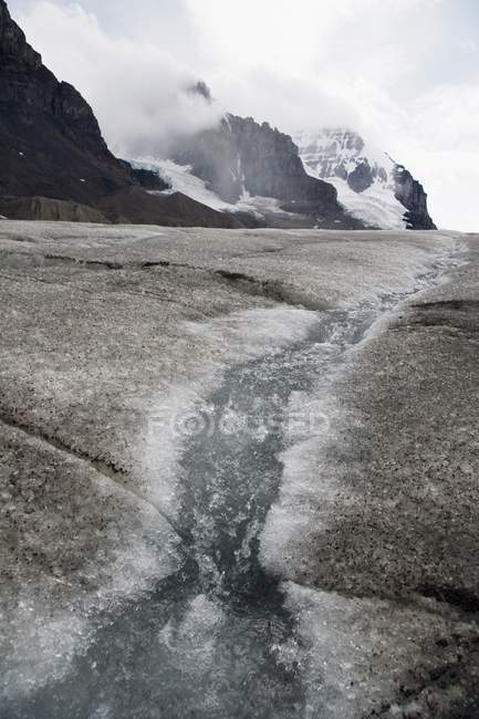Вид на льодовик Атабаска — стокове фото
