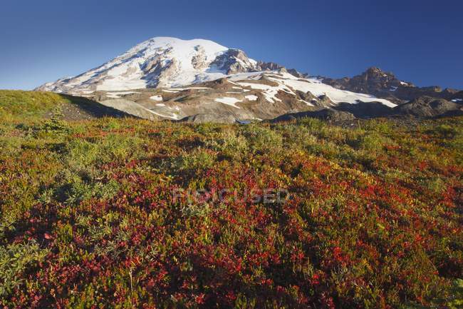 Mount Rainier In Mt. Parque Nacional Rainier — Fotografia de Stock