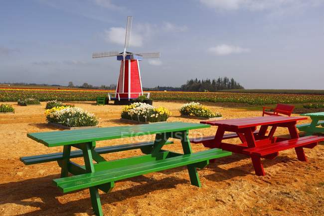 Mulino a vento e tavoli da picnic — Foto stock
