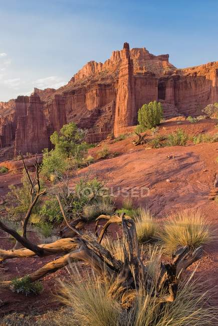 Fisher Towers during daytime — Stock Photo