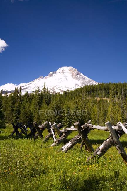 Snow Mount Hood — Stock Photo