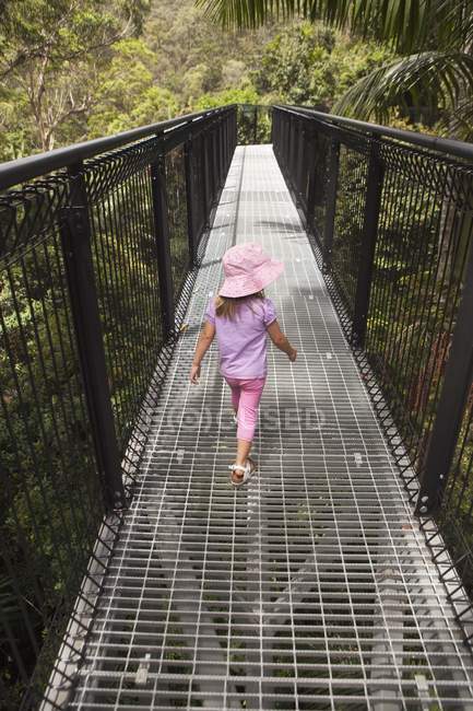 Niña caminando por el puente Rainforest Skywalk en el Parque Nacional Tamborine, Queensland, Australia - foto de stock