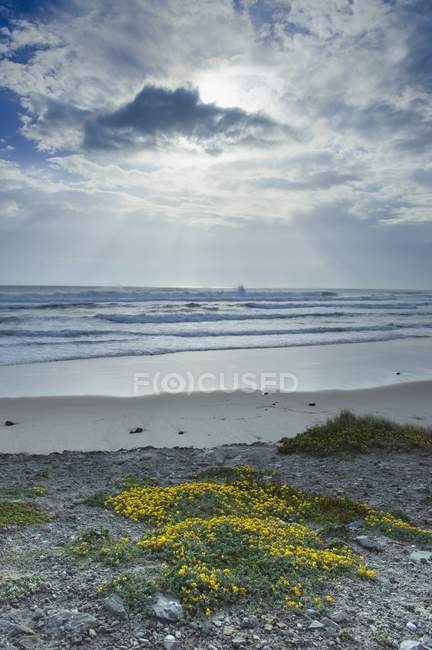 Praia Los Lances ao longo da Costa De La Luz — Fotografia de Stock
