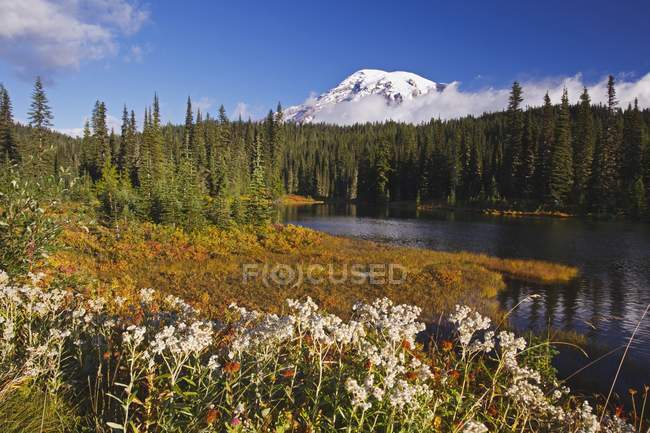 Reflexão Lago e Monte Rainier — Fotografia de Stock
