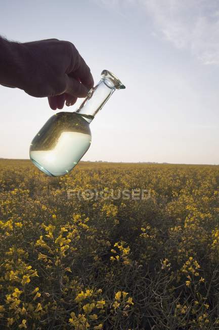 Pot d'huile de canola — Photo de stock
