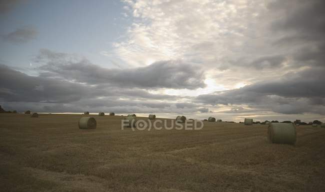 Hay Bales In Field At Sunset — Stock Photo