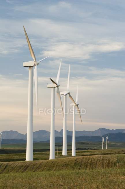 Wind Turbines In Row — Stock Photo