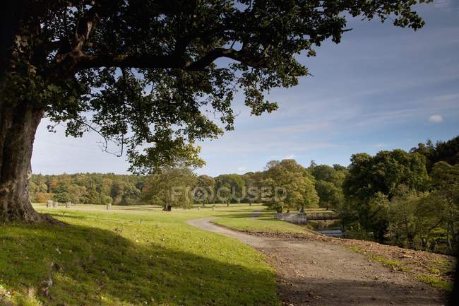 Water In Park Area — Stock Photo