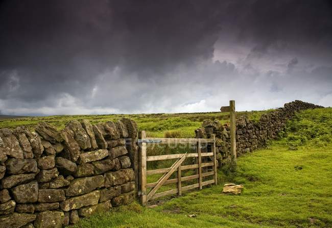 Каменный забор и деревянные ворота — стоковое фото