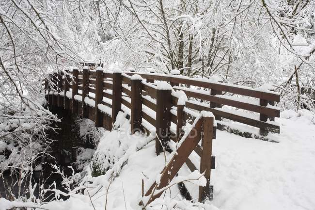 Puente cubierto de nieve - foto de stock