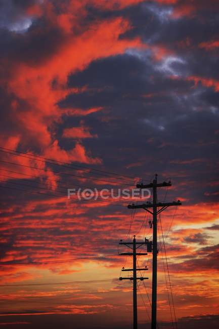 Telephone Poles Silhouetted — Stock Photo
