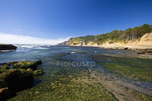 Видра гальковий пляж уздовж узбережжя штату Орегон — стокове фото