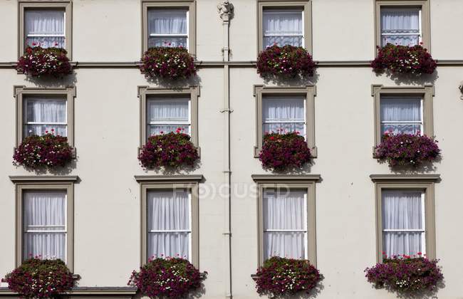 Scatole di fiori sul lato di un edificio — Foto stock
