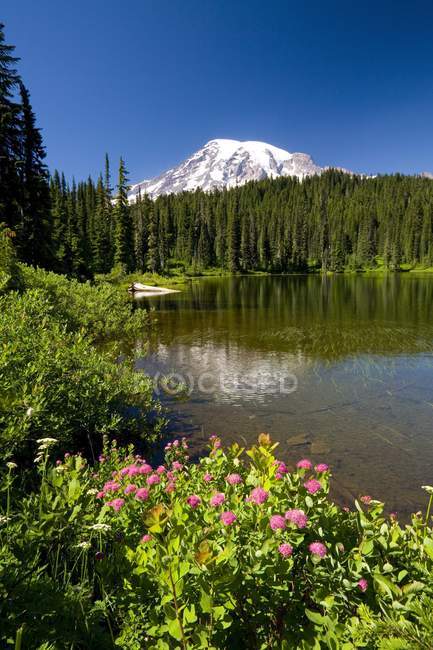 River water and mountains — Stock Photo