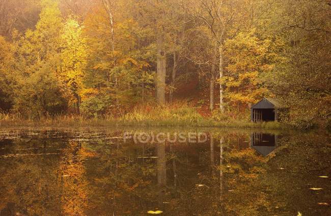 Árvores ao longo da água no outono — Fotografia de Stock